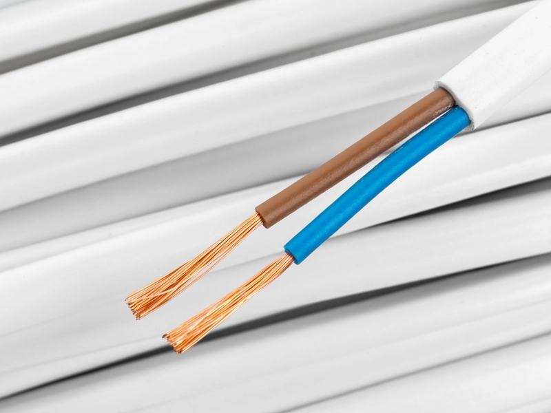 Close-up of stripped electrical cable revealing copper wires. One wire is brown, the other blue, set against a background of coiled white cables.