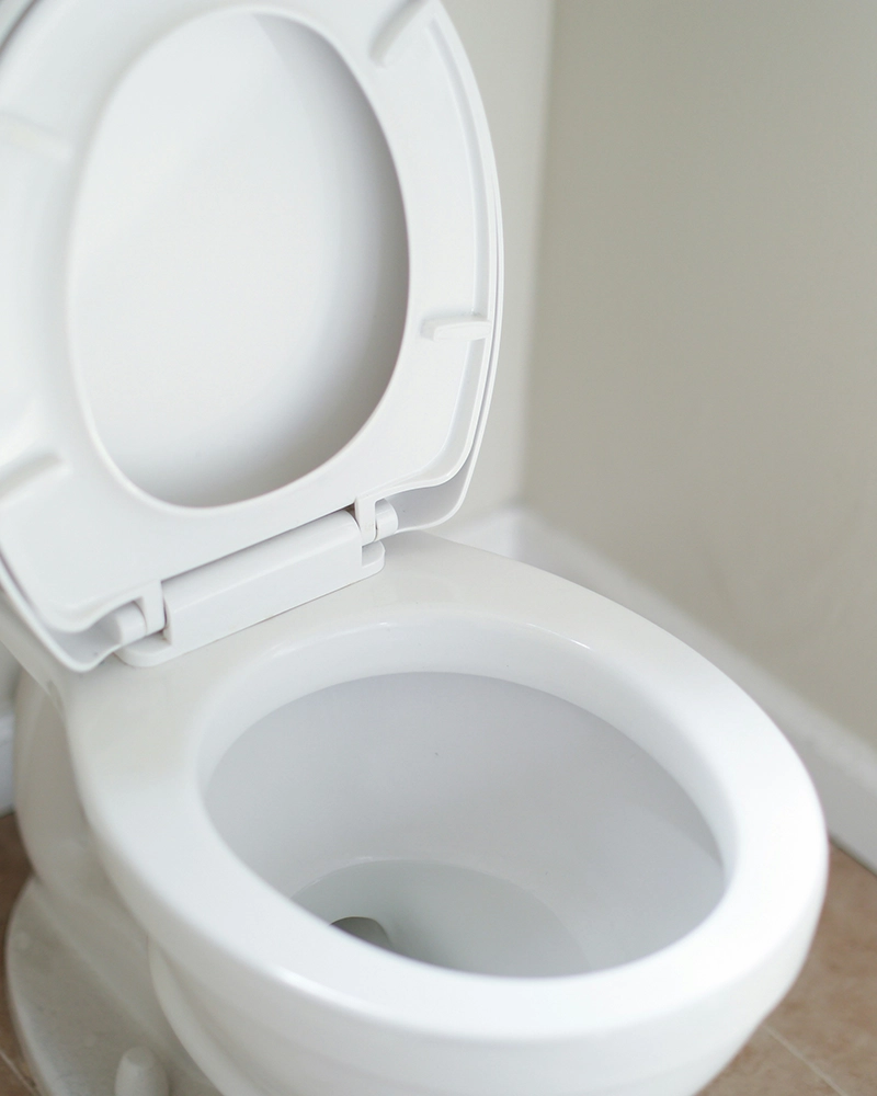 White toilet with open lid in clean bathroom setting. The floor is tiled. The image conveys sanitation and functionality.